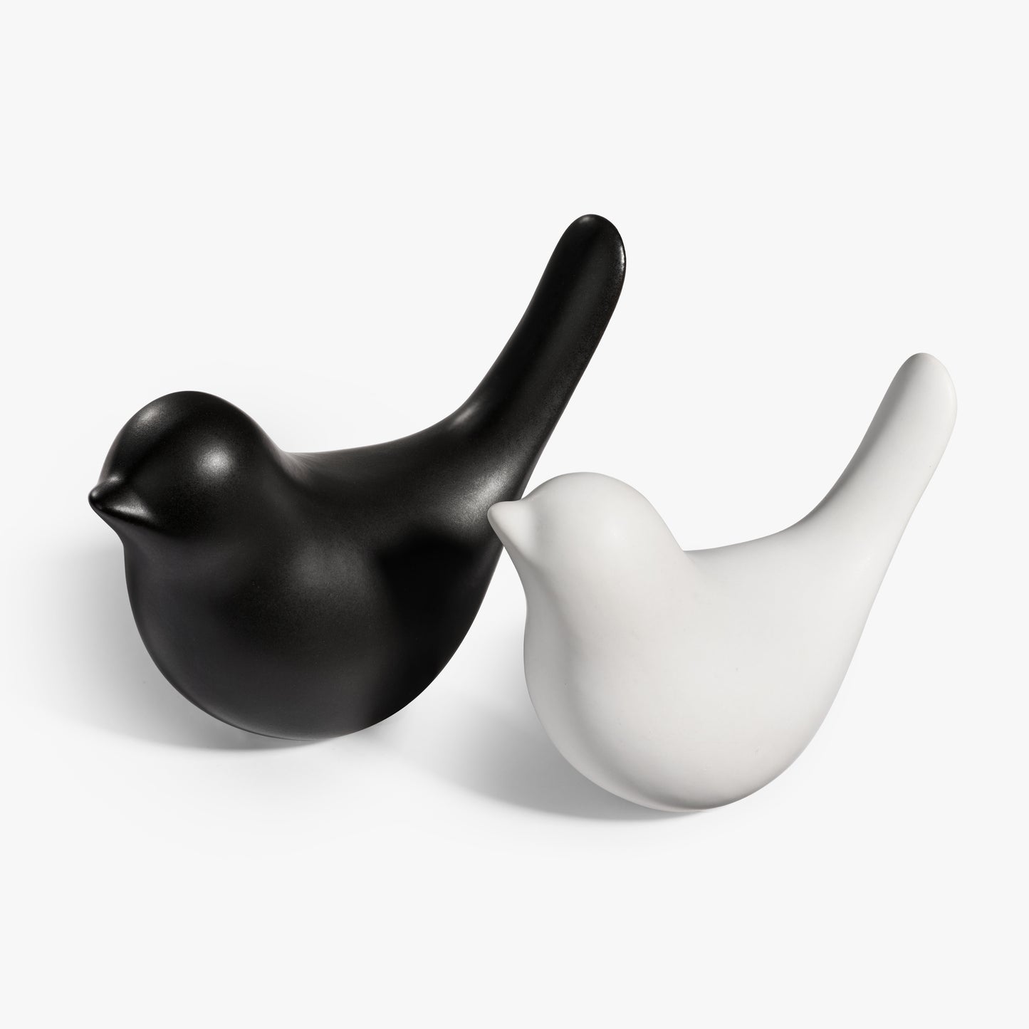 Shadow and Light | Still Companions