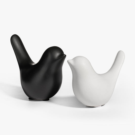 Shadow and Light | Still Companions